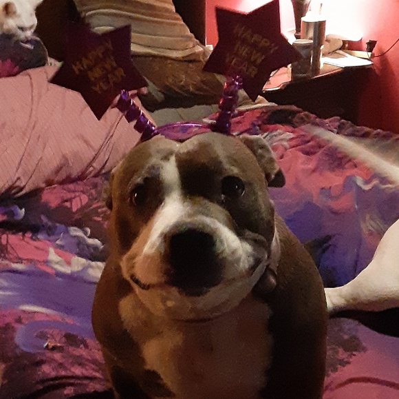 Meet your Posher, Kevin - Picture 1 of 1